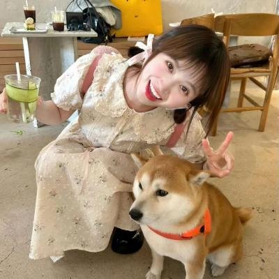 所念皆如愿